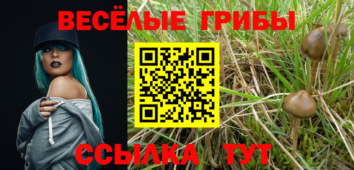 Уварово  Галлюциногенные грибы прущие грибы  Вход с VPN 